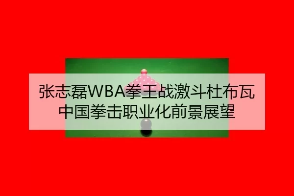 张志磊WBA拳王战激斗杜布瓦 中国拳击职业化前景展望
